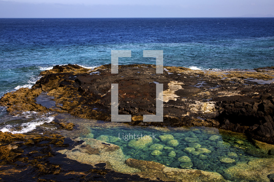 tide pool, lagoon and rocky shore 
