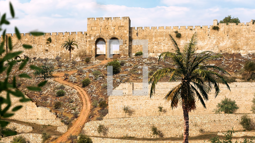 Old Jerusalem with palm and gate - day
