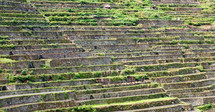 terraced land in the Philippines 