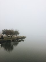 fog over a pond 