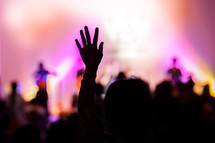 raised hands in the audience at a concert 