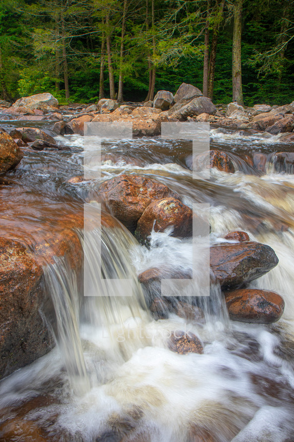 Water rushing over rocks along river rapids in forest