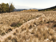 worn path through a brown field and distant mountains