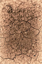 parched earth 