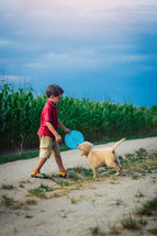 Handsome little boy playing frisbee with his beloved golden retriever puppy dog on countryside road, nature.