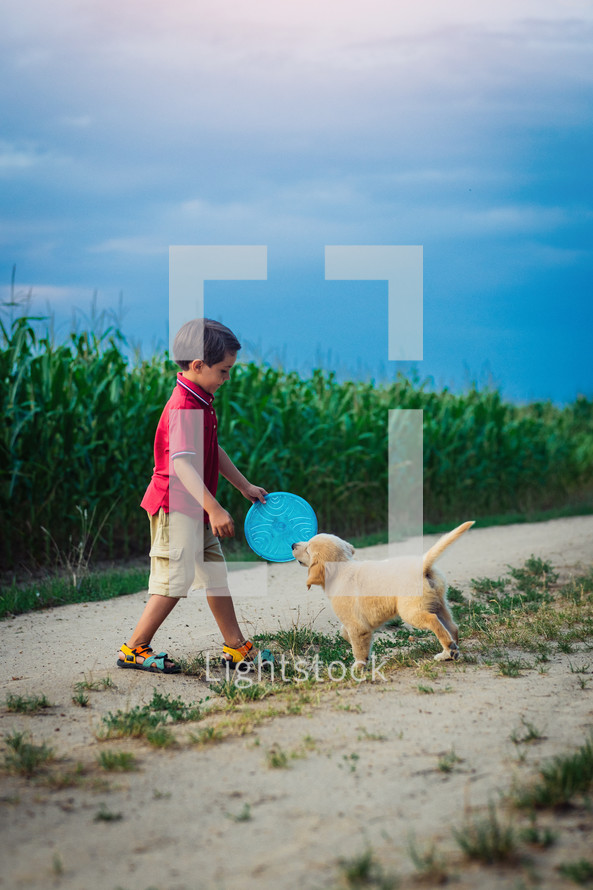 Handsome little boy playing frisbee with his beloved golden retriever puppy dog on countryside road, nature.