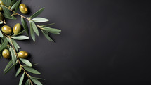 Olive branches with copy space