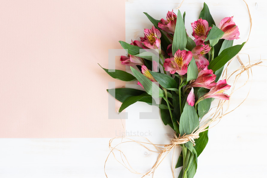 Alstroemeria and pink piece of paper 