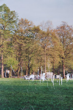 Photograph of grass and trees with scratches