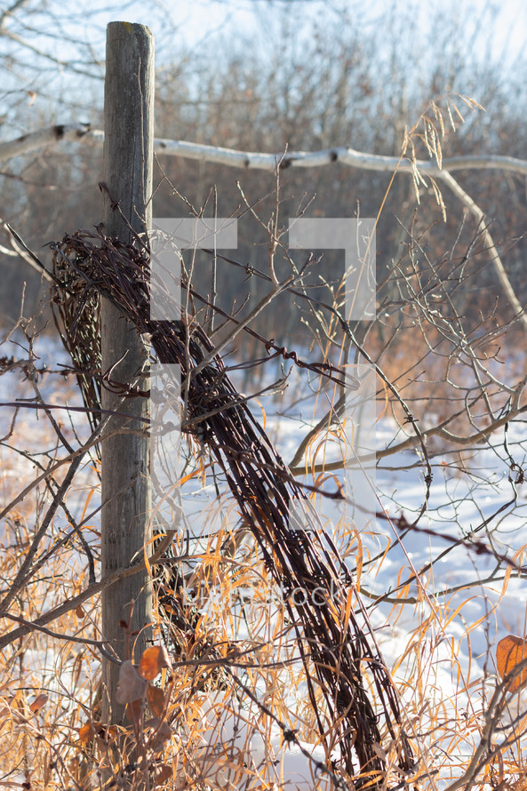 barbwire fence in snow 