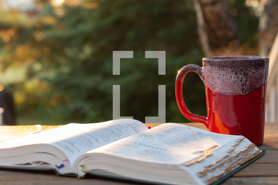 coffee mug and open Bible in morning 