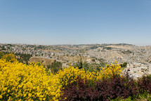  Jerusalem from south.