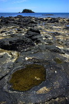 moss and tide pool on rocks 