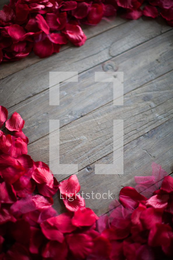 rose petals border 