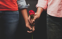 couple holding a long stem rose 