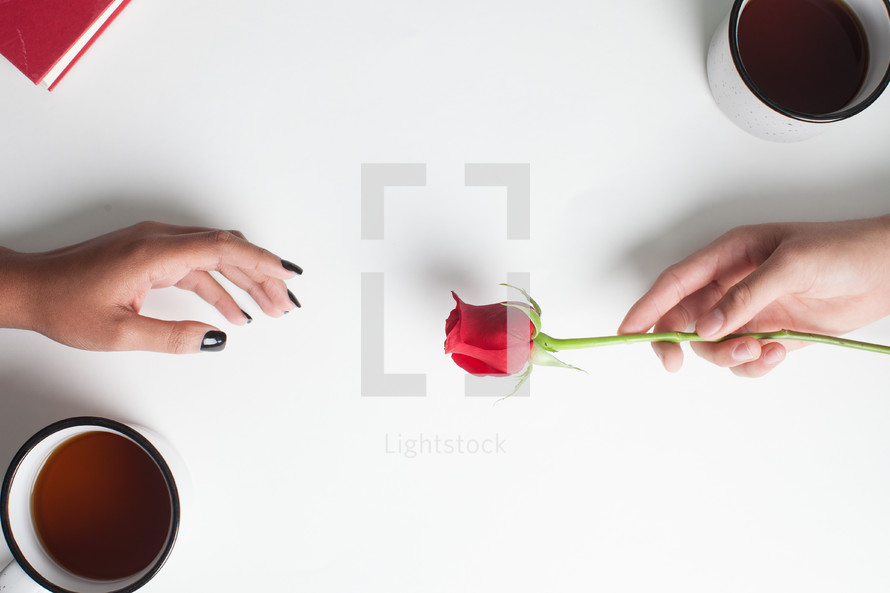 man giving a red long stem rose to a woman and mugs of coffee 