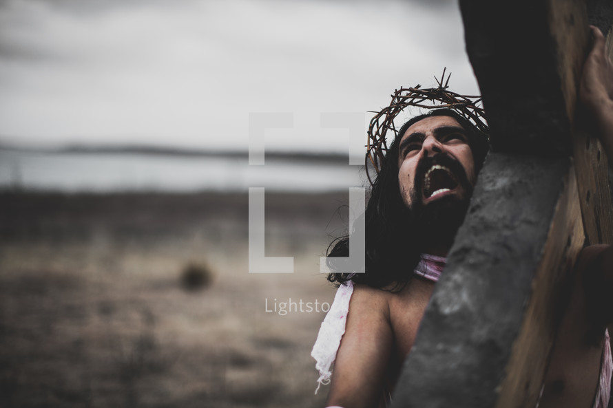 Jesus bearing the cross in agony 