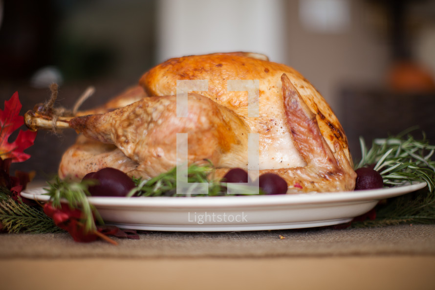 Thanksgiving turkey on a platter 
