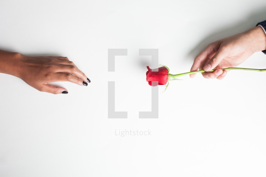 man giving a woman a long stem red rose 