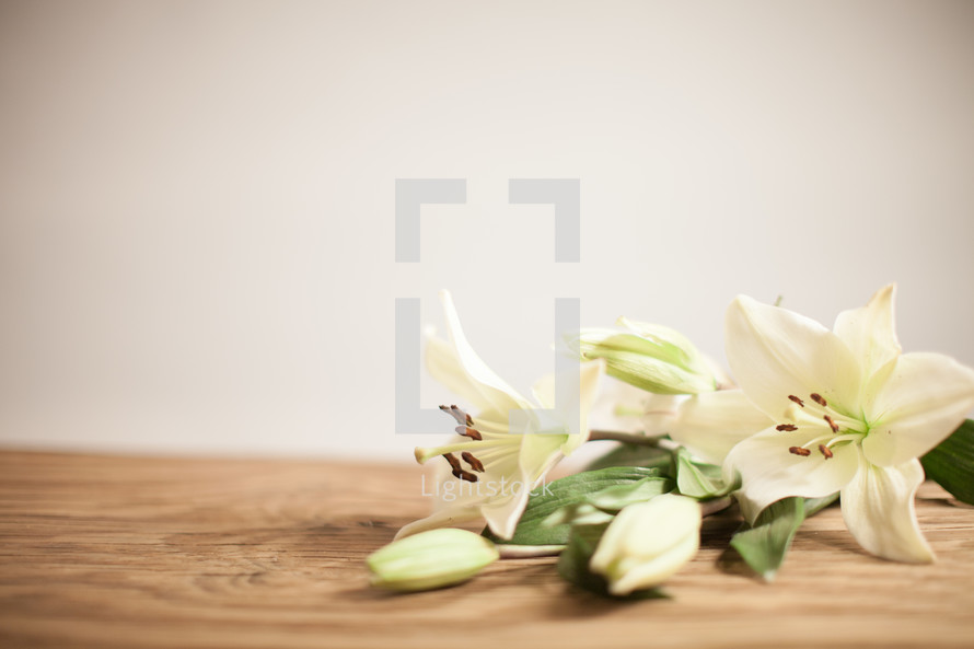 White Easter lilies