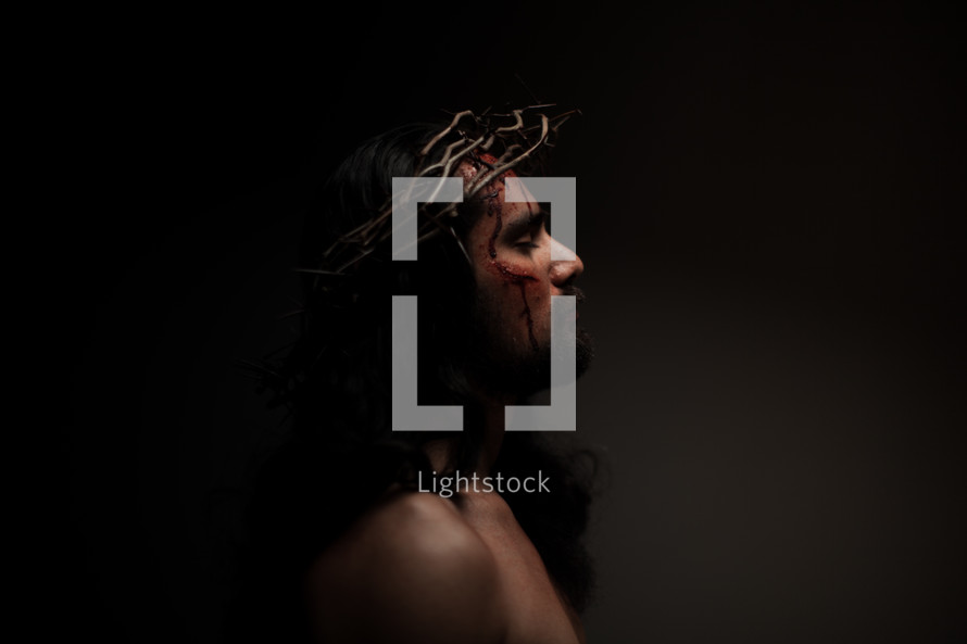 The suffering of Christ on the cross.  Jesus in His crown of thorns.