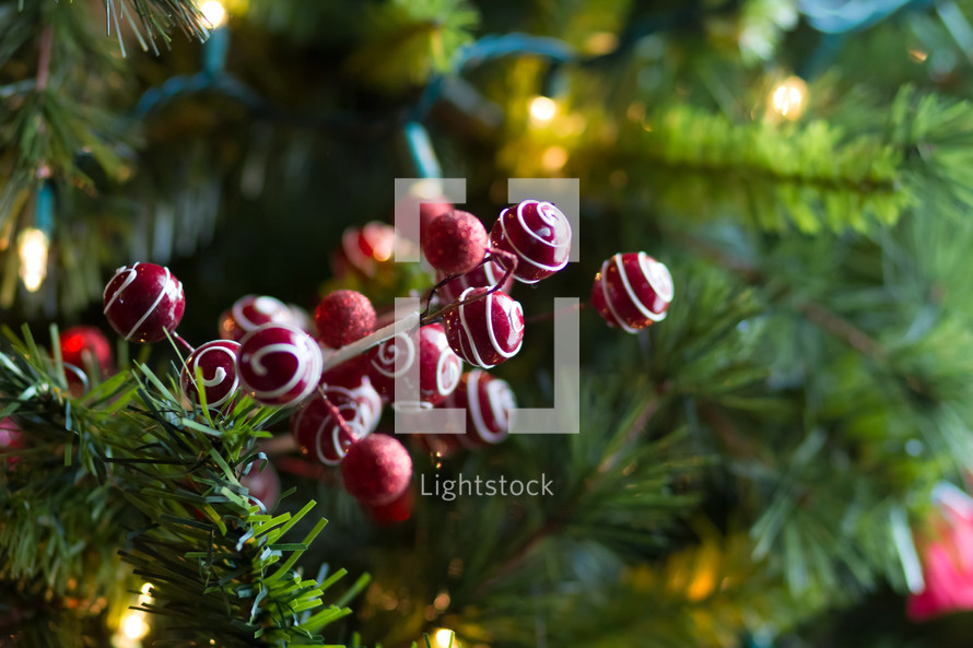 red and white berries on a Christmas tree 
