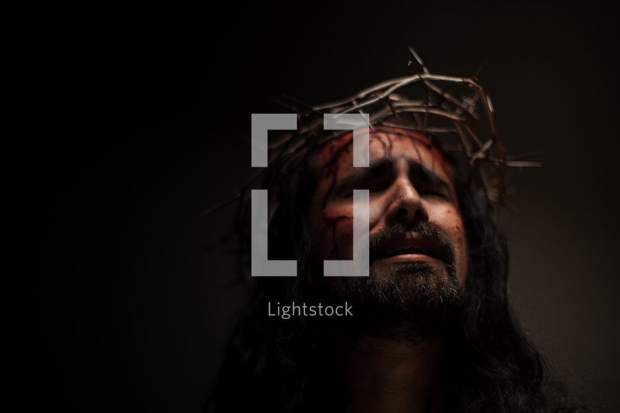 The suffering of Christ -- Jesus in HIs crown of thorns.