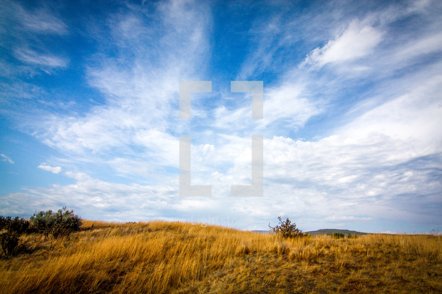 clouds over a field of tall grass