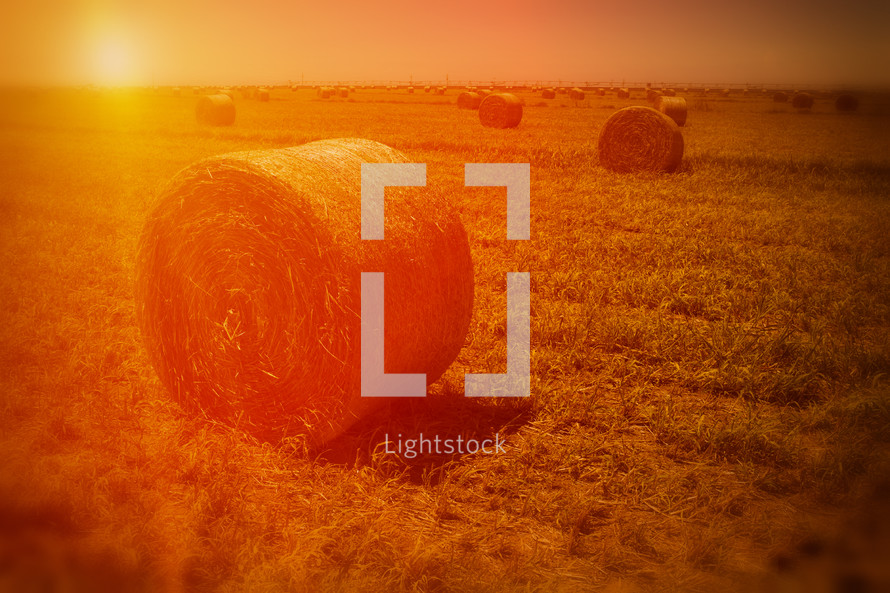 Hay bales in a field at sunset.
