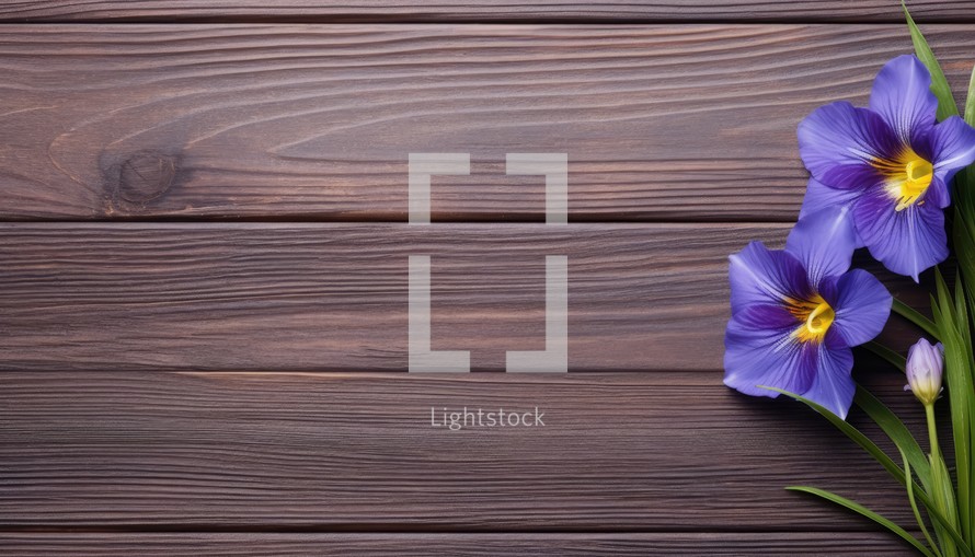 Purple crocus flowers on wooden background. Top view with copy space