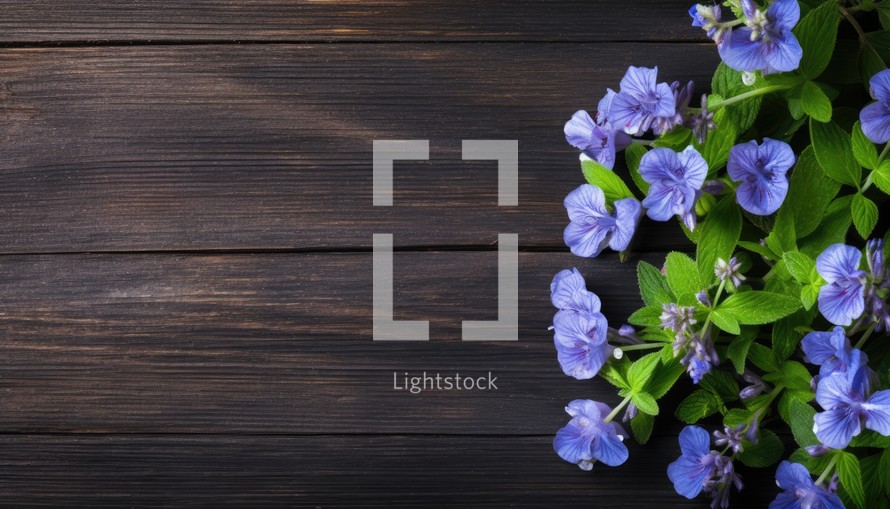 Purple flowers on wooden background. Top view with copy space.