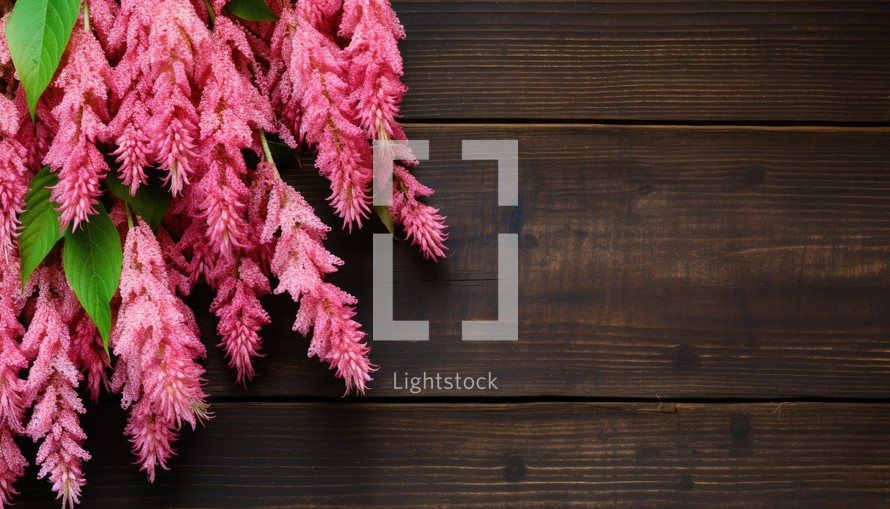 pink flowers on wooden background, top view with copy space.