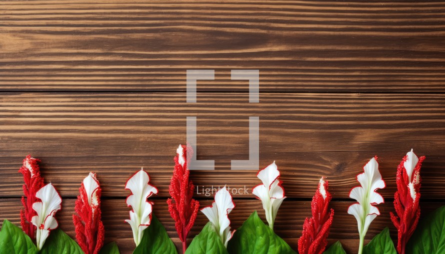 Red and white flowers on a brown wooden background. Copy space.