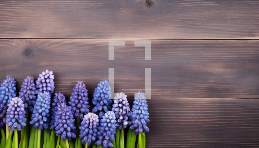 Blue muscari flowers on wooden background. Top view with copy space