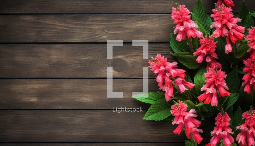 Pink flowers on wooden background with copy space for text. Top view