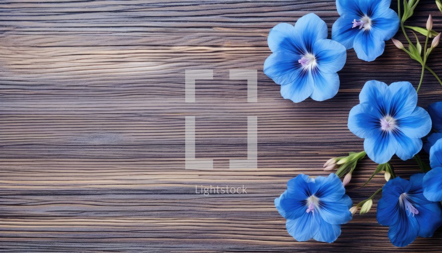 Blue flowers on a wooden background. Top view. Copy space.