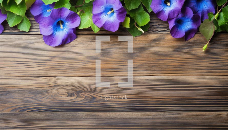 Morning glory flowers on wooden background. Top view with copy space.