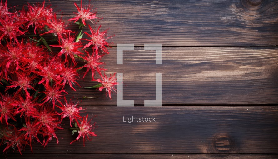 Red flowers on dark wooden background. Top view with copy space.