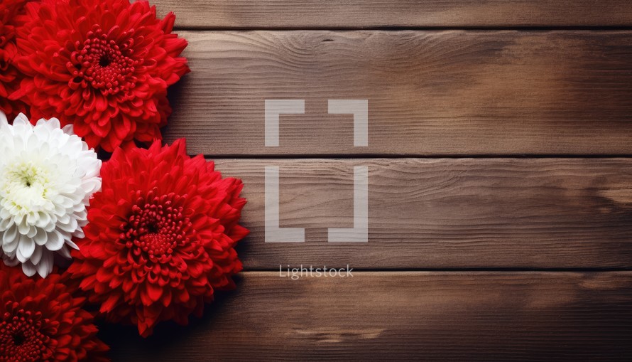 Red and white chrysanthemums on a brown wooden background