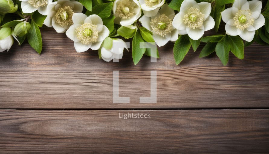 White hellebore flowers on wooden background. Top view with copy space