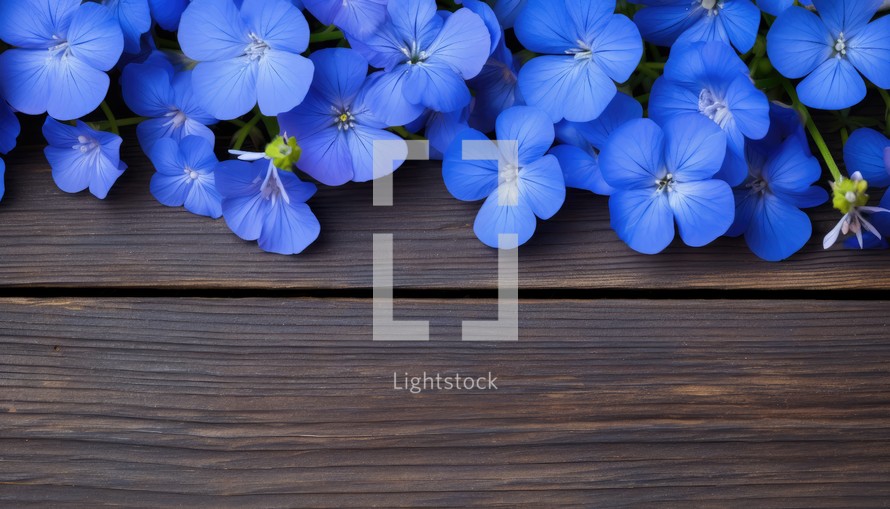 Blue flowers on a wooden background. Top view with copy space.