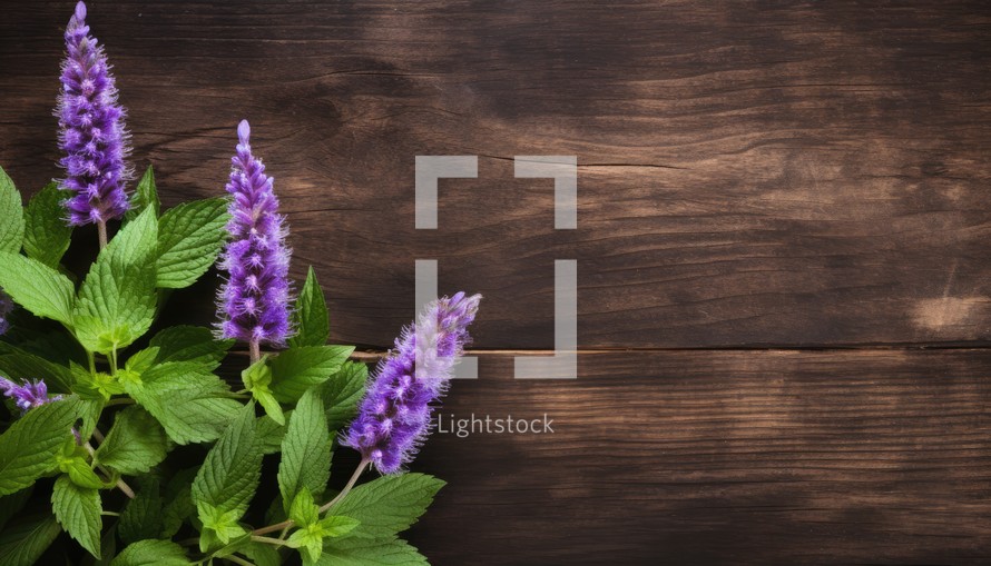Fresh mint on a wooden background. Top view with copy space.