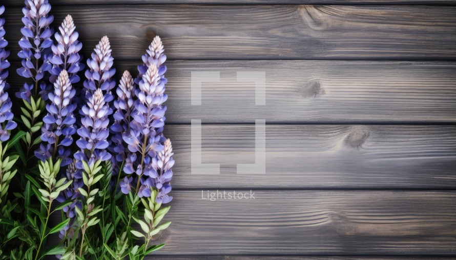 Lupine flowers on a wooden background. Place for text.