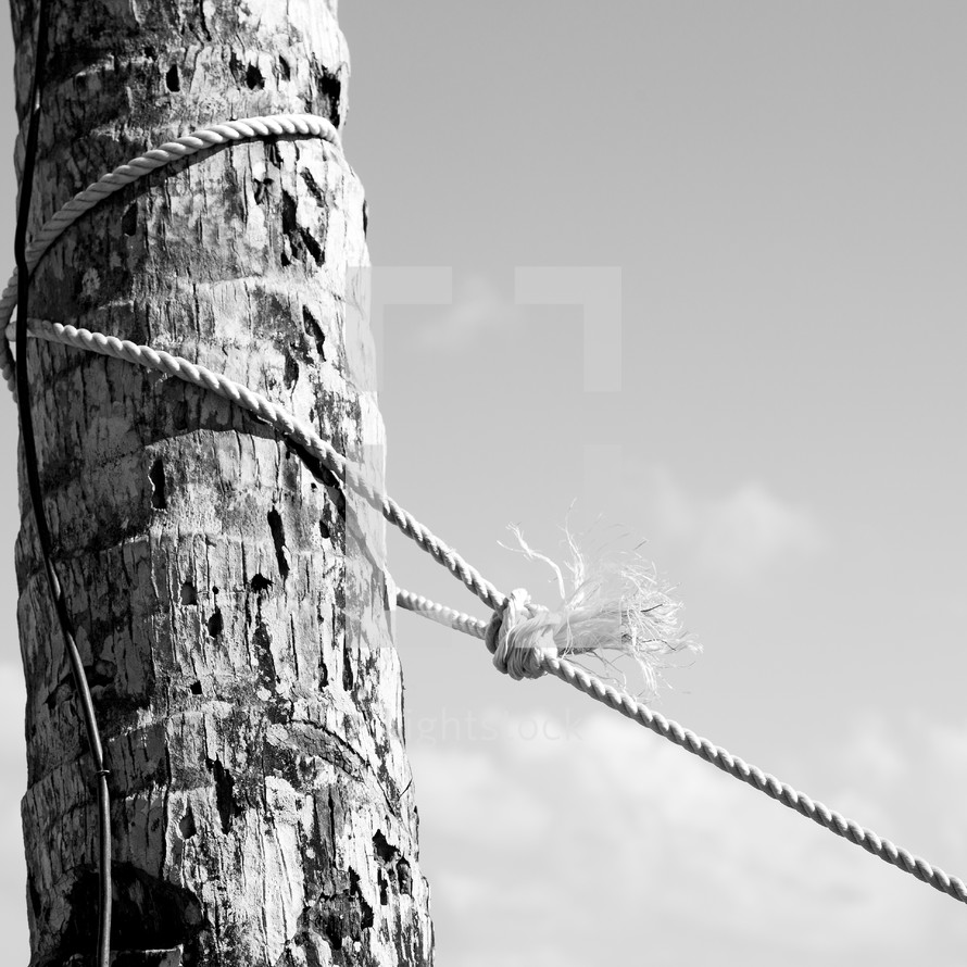 a rope around a post 