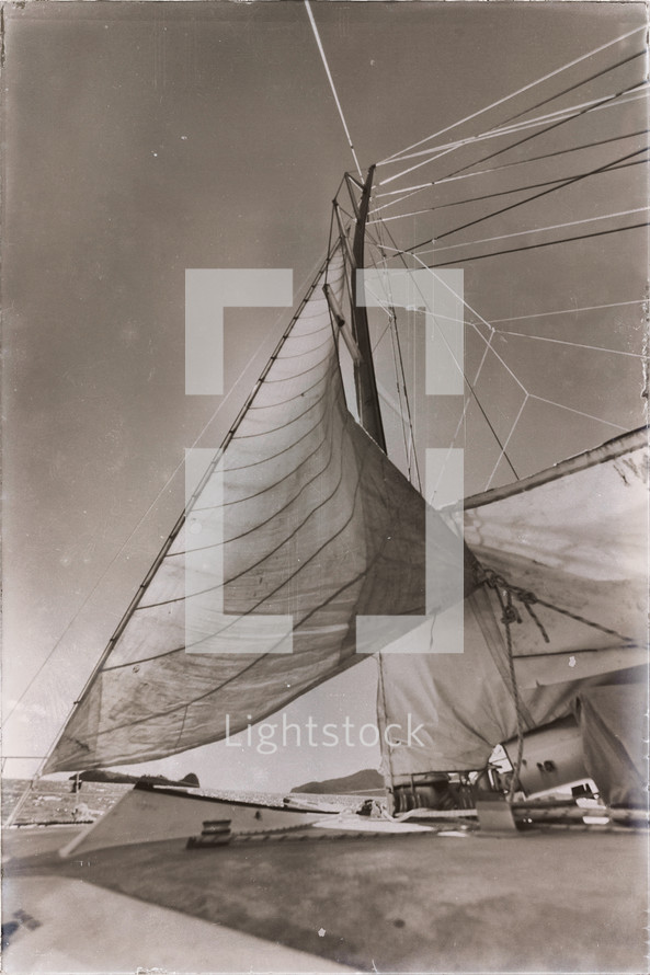 wind in sails 