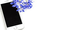blue flowers and iPhone 