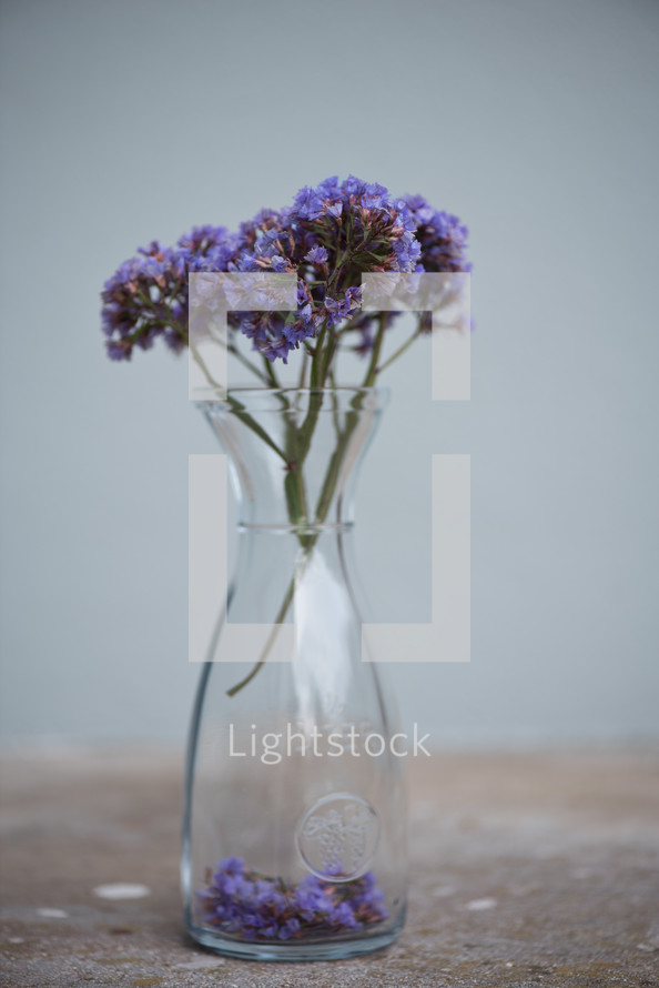 purple flowers in a clear vase 