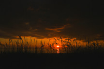 sunset over ocean and sea oats