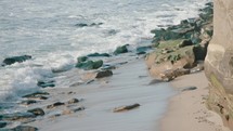 Waves washing up on a sunny coast