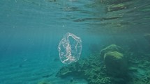 Plastic bag floating underwater.